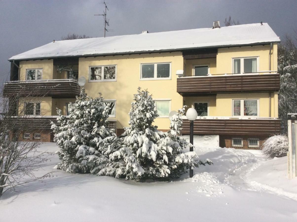 Apartamento Blockhaeuser Fewo3 Harzblick Braunlage Exterior foto